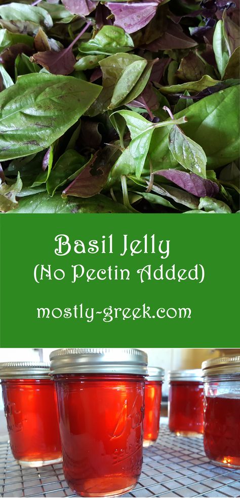 Basil creates a lively flavor for this delightful jelly. Using natural apple pectin means less sugar and more flavor, and reduces waste! Follow us for more great recipes and helpful tips! #mostlygreek #homemadejelly #jelly #herbs #jam #dessert #naturalfood #basil #greekfood #greekrecipes #apple Basil Jelly Uses, Mint Jelly Recipe Without Pectin, Herb Jam Recipes, Flower Jelly Recipes, Basil Jelly Recipe, Herb Jelly Recipes, Honeysuckle Jelly Recipe, Red Clover Jelly Recipe, Herb Jams