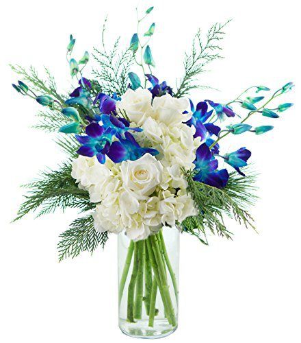 Kabloom Moonlight Orchids, 2.5 Pound - http://flowersnhoney.com/kabloom-moonlight-orchids-2-5-pound/ Blue Dendrobium Orchids, Hydrangea Bouquet Wedding, Peacock Wedding Theme, Yellow Orchid, Orchid Bouquet, Green Bouquet, Dendrobium Orchids, Blue Bouquet, Blue Orchids