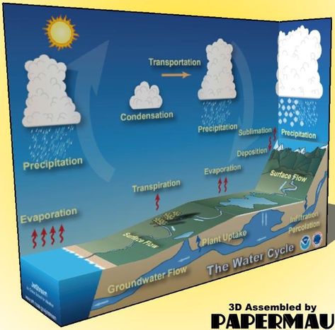 PAPERMAU: Water Cycle Diorama Paper Model - by National Weather Service Water Cycle Diorama, Types Of Rainfall, Water Cycle Model, Water Conservation Projects, Diorama Paper, Water Cycle Project, Science Experience, Conservation Activities, Water Modeling