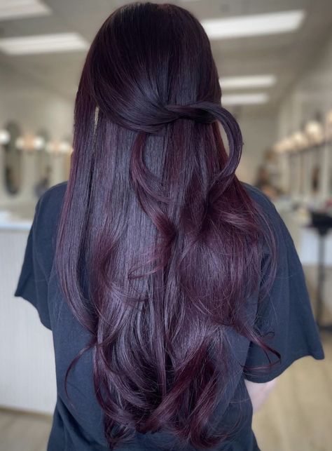 Black Cherry Hair, Cherry Hair Colors, Brown Hair Inspiration, Wine Hair Color, Hair Color Plum, Plum Hair, Red Hair Inspo, Wine Hair, Cherry Hair