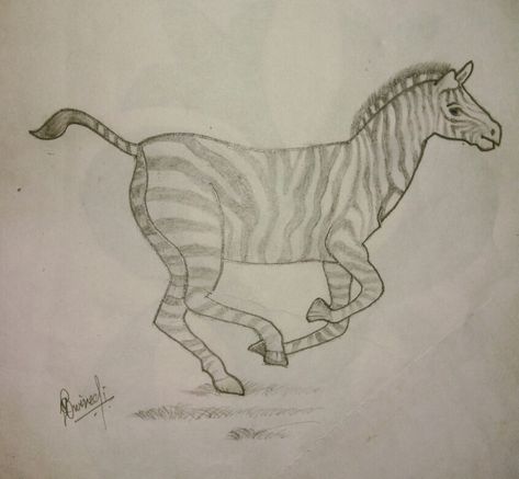 Zebra Drawing, Zebra Animal, Animal Drawing, Drawing Drawing, Pencil Sketch, Animal Drawings, Art Gallery, Sketch, Pencil