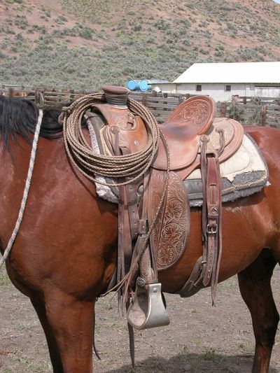 Cowboy Gear Photos - COWBOY SHOWCASE Buckaroo Style, Cowboy Character Design, Outdoors Tattoos, Wade Saddles, Cowboy Photography, Tattoos Quotes, Horse Show Clothes, Barrel Racing Horses, Cowboy Gear