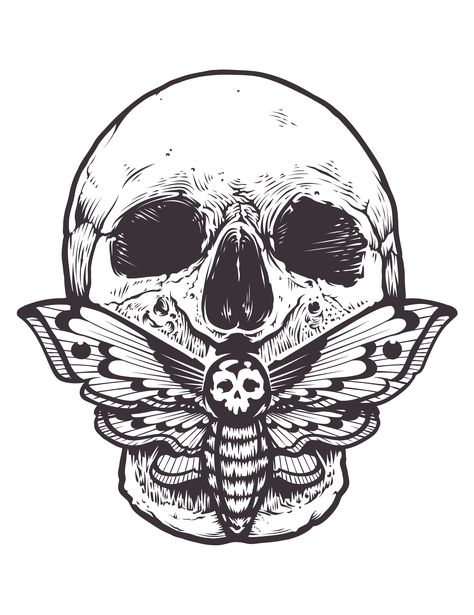 Moth And Skull Tattoo Design, Moth And Skull Tattoo, Skull Moth Tattoo Design, Moth Drawing, Skull Moth, Deaths Head Moth, Pagan Symbols, Black And White Stickers, Moth Tattoo