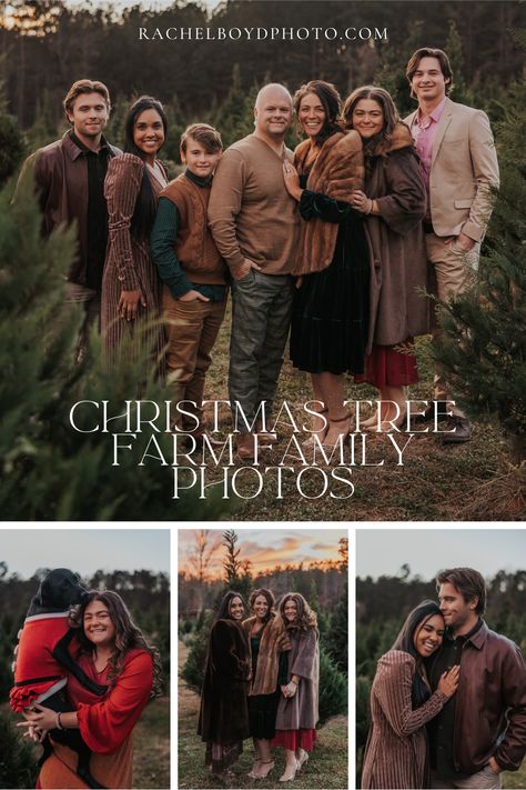 Christmas Tree Farm Family Photos | Christmas Card Family Photo Ideas. Needing tips for posing naturally and feeling comfortable in front of the camera? Discover winter family photoshoot outfits, winter family photoshoot poses, candid Christmas photos family pictures, and outdoor winter family photoshoot ideas! Inquire with Rachel for timeless and natural family Christmas photos at rachelboydphoto.com Christmas Family Photos Teenage, Family Photos Evergreen Trees, Rustic Family Christmas Pictures, Family Christmas Pictures Teenagers, Winter Western Family Photos, Family Pictures Tree Farm, Family Photos In Nature, Family Christmas Tree Farm Pictures Outfits, Outdoor Christmas Photoshoot Ideas Family