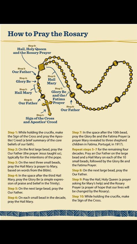 Rosary Prayer Guide, Praying The Rosary Catholic, Rosary Prayers Catholic, Fatima Prayer, Hail Holy Queen, Pray The Rosary, Our Father Prayer, Apostles Creed, Sign Of The Cross