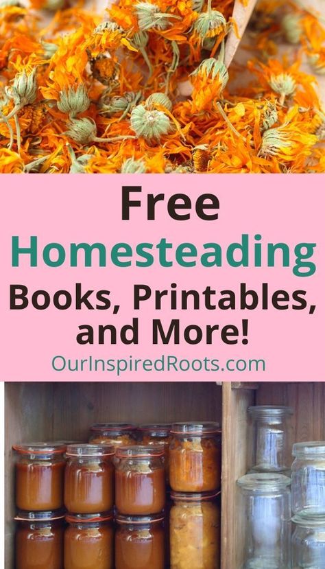 Homestead Journal Free Printable, Free Homestead Printables, Survival Printables, Homesteading Printables, Homesteading Books, Growing Your Own Food, Amazing Meals, Homesteading Ideas, Food Gardening