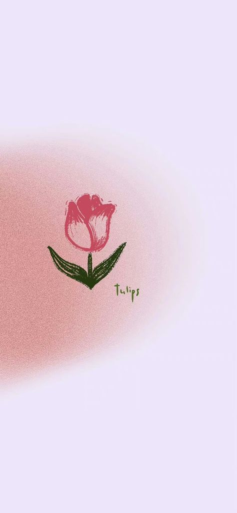 Wallpaper Backgrounds Tulips, Tulip Wallpaper Aesthetic, Pink Tulips Wallpaper Aesthetic, Tulip Aesthetic, Iphone Wallpaper Travel, Tulip Wallpaper, Tulips Wallpaper, Qhd Wallpaper, Cute Tumblr Wallpaper