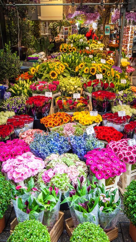 Flowers Pretty, Flowers Market, Flowers Shop Aesthetic, Amsterdam Flowers, Flower Market Aesthetic, Flowers Shop, Flower Shops, Flower Shop Aesthetic, Flowers In Amsterdam