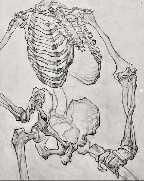 Academic Drawing, Skeleton Drawings, Human Anatomy Drawing, Human Anatomy Art, Anatomy Sketches, Anatomy For Artists, Anatomy Drawing, Sketch Inspiration, Figure Drawing Reference