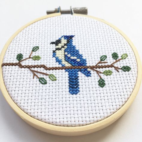 Birds Cross Stitch Pattern Free, Blue Jay Cross Stitch Pattern, Birds Cross Stitch Patterns, Cross Stitch Cardinal, Cross Stitch Simple, Cross Stitch Wall Art, Bird Cross Stitch Pattern, Colour Names, Bird Cross Stitch