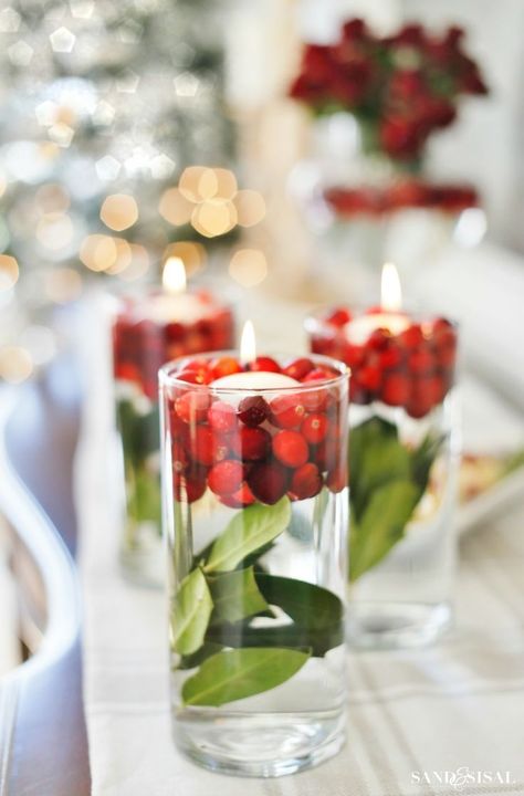 Cranberry Luminaries and more cranberry decorating ideas for the holidays. #christmasdecor #cranberries #holidaycenterpiece Cranberries Decor, Red And White Christmas Decor, Christmas Tree Napkin Fold, White Christmas Decor Ideas, Cranberry Drinks, Christmas Dining Table Decor, Christmas Cocktail Party, Christmas Tree Napkins, Christmas Dining Table