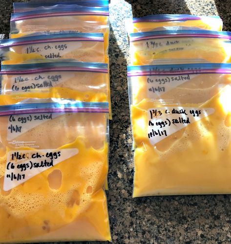 How to Preserve Eggs & TWO Methods for Freezing Eggs (Plus, a Discussion of Other Methods That Work to Preserve Eggs) — All Posts Healing Harvest Homestead Freeze Rice, Dehydrating Eggs, Freezer Eggs, Too Many Eggs, Preserve Eggs, Freezing Food Guide, Freeze Eggs, Freezing Veggies, Preserving Eggs