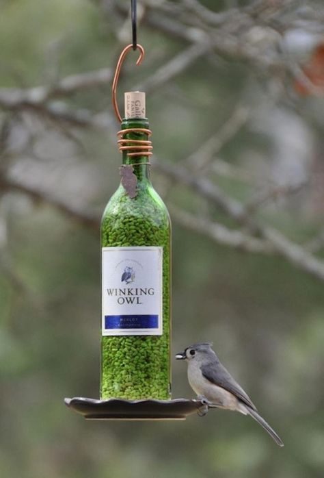 Wine Bottle Bird Feeder, Backyard Wedding Decorations, Homemade Bird Houses, Old Wine Bottles, Homemade Bird Feeders, Empty Wine Bottles, Diy Bird Feeder, Wine Bottle Diy Crafts, Diy Birds