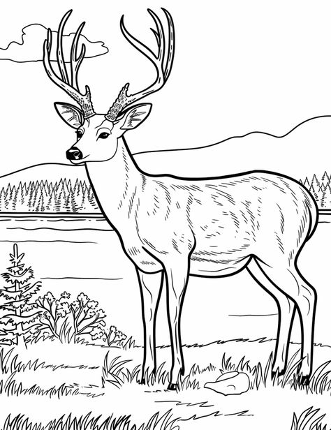 Bas Relief Art, Deer Coloring Pages, Airplane Coloring Pages, Football Coloring Pages, Small Deer, Buck Deer, Coloring Pages Free Printable, Deer Stand, Sky Full Of Stars