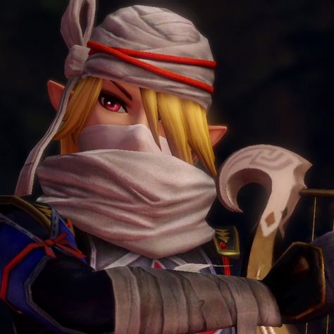 hyrule warriors icon Hyrule Warriors Definitive Edition, Zelda Sheik, Legend Of Zelda Sheik, Zelda Icon, Hyrule Warriors Link, Zelda Screenshots, Zelda Hyrule Warriors, Zelda Drawing, Hyrule Warriors