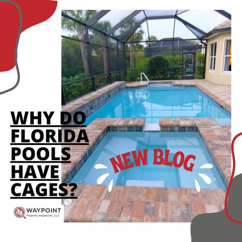 Why do Florida pools have cages? Screened pool cages will reduce your maintenance costs and keep unwanted debris and guests away. Let’s take a look at what it means to have a pool cage in Florida. Read our latest blog and learn more! Florida Pools, Pool Cage, Screened Pool, Florida Pool, Pool Decor, Garden Yard Ideas, Home Inspection, Diy Backyard, Garden And Yard