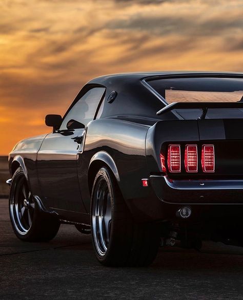 1969 Mustang Fastback, Mustang Car Aesthetic, Ford Mustang 1969, 2024 Ford Mustang, 60s Muscle Cars, Black Mustang, Tokyo Drift Cars, Mustang Wallpaper, Mustang Car