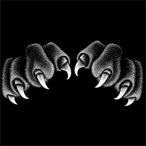 Claw Tattoo, Paw Drawing, Streetwear Tshirt Design, Gfx Design, Cat Dark, Traditional Flash, Lion Paw, Metal Drum, Animal Nails