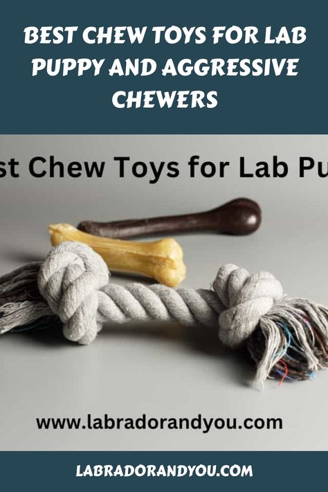 The best chew toys for lab puppy are KONG, Nylabone, and BENEBONE. Discover an effective teething toy for your dog today with our review. Best Toys For Puppies, Best Teething Toys, Chew Toys For Dogs, Puppy Chew Toys, Puppy Chewing, Lab Puppy, Best Puppies, Lab Puppies, Toy Puppies