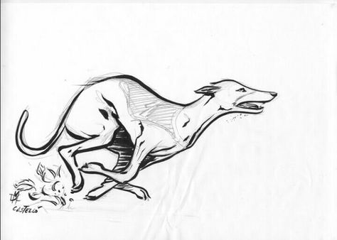 Celtic Greyhound Tattoo, Greyhound Dog Drawing, Greyhound Sketch, Whippet Tattoo, Greyhound Drawing, Greyhound Tattoo, Prismacolor Art, Greyhound Art, Animal Drawings Sketches