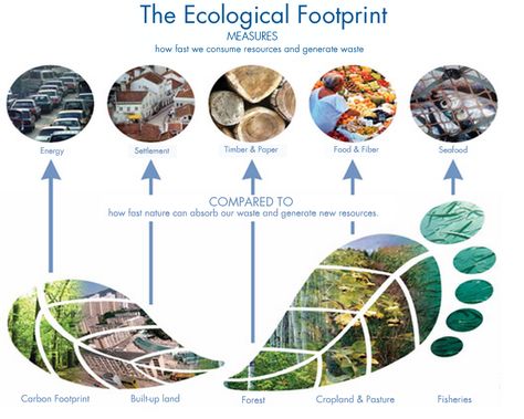 The Ecological Footprint is the only metric that measures how much nature we have and how much nature we use. Earth Overshoot Day, Non Renewable Energy, Ecological Footprint, Circular Economy, Natural Resources, Carbon Footprint, Green Design, Goods And Services, Plant Based Recipes