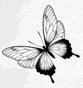 Wings Side View, Butterfly Wings Drawing, Butterfly Realistic, Butterfly Tattoo Stencil, Fly Drawing, Butterfly Art Drawing, Draw Realistic, Wings Drawing, Tattoo Flash Sheet