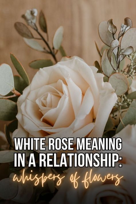 White rose meaning in a relationship: these flowers carry a lot of symbolism. Here’s the secret language of roses behind their colors. White Roses Meaning, Roses Meaning, Women And Flowers, First Heartbreak, Make Money With Pinterest, Rose Meaning, Money With Pinterest, Journey Of Growth, Relationship Meaning