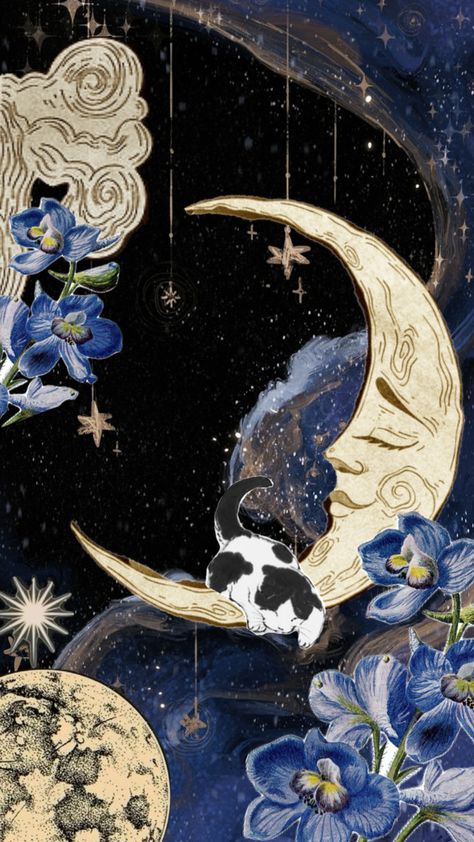 🌙🪻✨ #moon #star #astronomyaesthetic #outerspace #wallpaper Ballet Wallpaper, Mermaid Cat, Future Wallpaper, Photoshop Design Ideas, Witchy Wallpaper, Soyut Sanat Tabloları, Funny Phone Wallpaper, Iphone Wallpaper Photos, Star Wallpaper