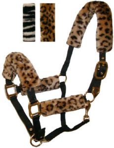 Dressage Tack, Halter Horse, Saddle Horse, Horse Halters, Horse Halter, Rodeo Horses, Horse Equipment, Horse Gear, Lead Rope