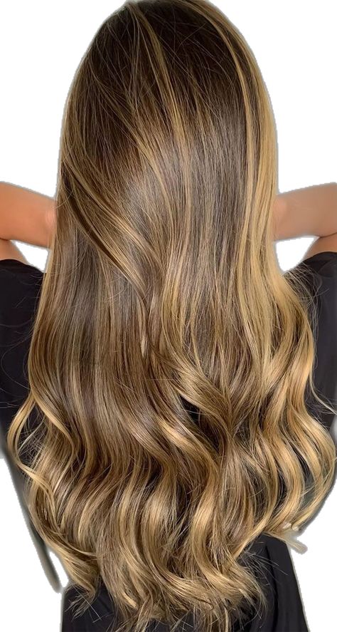 Balayage With Layers, Warm Honey Balayage, Honey Blonde Balayage, Blonde Hair Colour, Hair Colour Trends, Dark Chocolate Hair, Honey Balayage, Honey Blonde Hair Color, Chocolate Hair