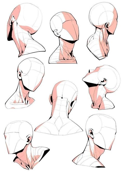 Human Anatomy Drawing, Seni Dan Kraf, Human Anatomy Art, Anatomy Sketches, Body Reference Drawing, 캐릭터 드로잉, Figure Drawing Reference, Anime Drawings Tutorials, Anatomy Art