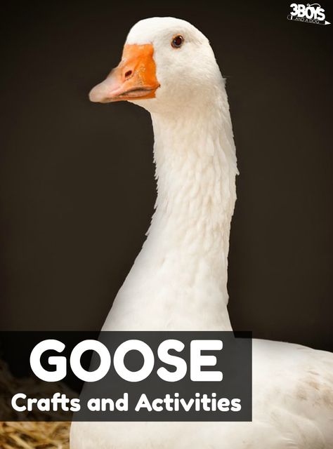 These fun goose crafts and activities are great for a farm unit study with the kids! There are goose paper crafts, goose games, and goose-themed printables #kidsactivities #educational #inspirationspotlight Farm Unit Study, Goose Craft, Science Experiments Kids Elementary, Cycle For Kids, Preschool Art Projects, Farm Unit, Woodland Animal Art, Farm Fun, Theme Activity