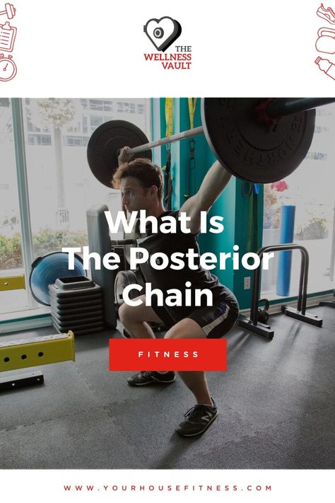 Posterior Chain Workout, Posterior Chain Exercises, Dumbbell Hip Thrust, Muscles In The Back, Pt Exercises, Deadlift Variations, Gym Program, Posterior Chain, Hamstring Muscles