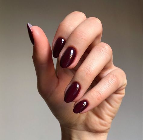 Wine Red Nails Aesthetic, Wine Coloured Nails, Vampire Red Nails, Dark Wine Nails, Dark Red Almond Nails, Vampire Nails, Wine Nails, Maroon Nails, Burgundy Nails