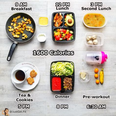 Dinner Recipes Under 500 Calories, 1600 Calorie Diet, 1300 Calorie Meal Plan, 1600 Calorie Meal Plan, 1400 Calorie Meal Plan, Recipes Under 500 Calories, Low Carb Diet Meal Plan, High Protein Low Carb Diet, 1500 Calorie Meal Plan