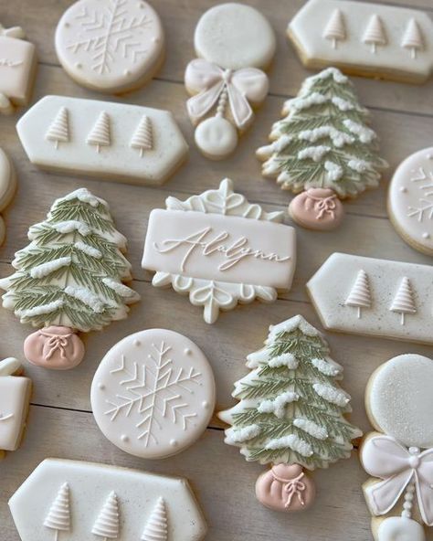 Christmas Sugar Cookies Decorated, Winter Baby Shower Themes, Winter Shower, Winter Bridal Showers, Winter Wonderland Baby Shower, Outside Baby Showers, Winter Cookie, Christmas Baby Shower, Baby Cookies