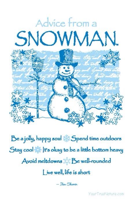 Advice from a snowman! Advice From A, Advice From A Tree, Happy Soul, Winter Nature, Celebrate Life, Socrates, Rustic Wood Signs, Advice Quotes, It's Okay