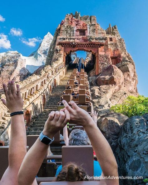 Disney World Aesthetic, Expedition Everest, Disney Parque, Aesthetic Disney, Disney Parade, Disney Florida, Disney Cute, Disney World Rides, Disney Photo Ideas