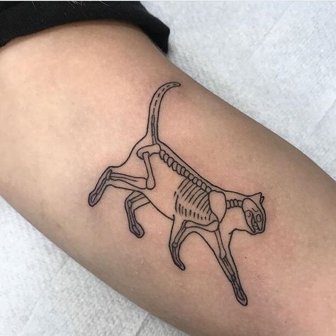 Cat Tattoos on Instagram: “Kitty tattoo by @laurathedrawer #cattattoos #tattoo #ink #catsofig #catsofinstagram #tattoos #tattooartist #tattooing #kittytattoos…” Kitty Tattoo, Cat Skeleton, Goth Tattoo, Bone Tattoos, Skeleton Tattoos, Cat Tattoos, Tattoos Ideas, Tattoo Placement, Tattoo Ink