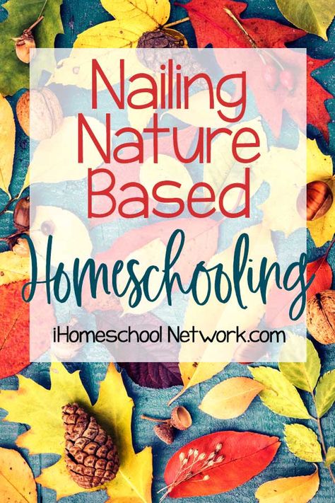 Nature Based Preschool, Human Body Projects, Nature Based Learning, Homeschool Nature Study, Plant App, Nature School, Science Activities For Kids, Homeschool Lesson, Science Curriculum