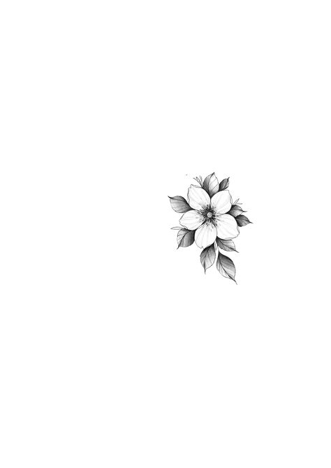 Jasmine Flower Tattoo Design, Jasmine Flower Tattoo Minimalist, Jasmine Flower Drawing Tattoo, Jasmine Flower Sketch, Jasmine Flower Tattoo, Apple Blossom Tattoos, Frangipani Tattoo, Jasmine Tattoo, Small Face Tattoos