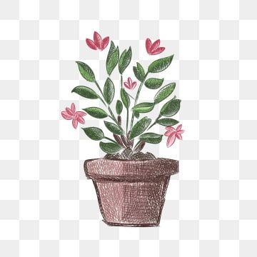 Pot Of Flowers Drawing, Flower In A Pot Drawing, Flower Pot Sketch, Potted Plant Drawing, Flower Pot Clipart, Flower Pot Drawing, Eid Jokes, Painted Plants, Drawn Plants