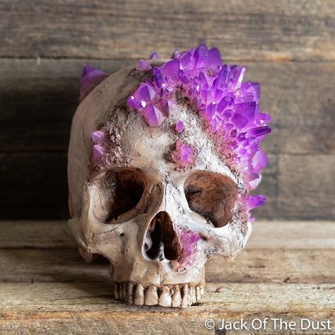 Skull Reference, Skull Decor, Human Skull, A Skull, 판타지 아트, Crystal Skull, Skull And Bones, Skull Art, Sugar Skull