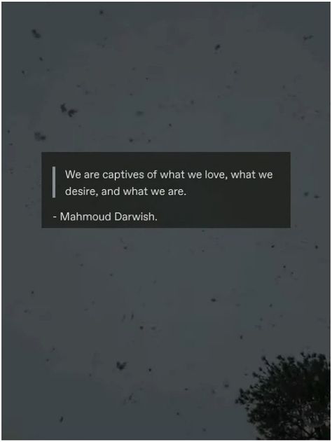 We are captives of what we love, what we desire, and what we are. ~Mahmoud Darwish || ہم اس کے اسیر ہیں جس سے ہم محبت کرتے ہیں، کیا چاہتے ہیں اور جو ہم ہیں۔ -محمود درویش۔ || हम जो प्यार करते हैं, जो हम चाहते हैं और जो हम हैं, उसके बंदी हैं। -महमूद दरवेश. || Ham jo pyaar karte hain, jo ham chaahte hain aur jo ham hain, uske bandi hain. Mahmud Darwish Quotes Love, Muhammad Darwish Quotes, Mehmood Darwaish Quotes, Mahmud Darwish Quotes, Mahmoud Darwish Quotes Love, Mohamed Darwish, Mahmoud Darwish Quotes, Mahmud Darwish, Mahmoud Darwish Poetry