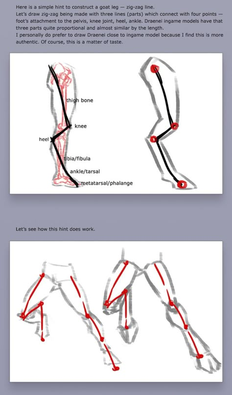 Goat Leg Reference, Satyr Legs Drawing Reference, Creature Legs Drawing, Goat Legs Drawing Character Design, Bend Legs Reference, Digigrade Legs Tutorial, Anthropomorphic Legs Reference, Digi Legs Tutorial, Digitigrade Legs Tutorial