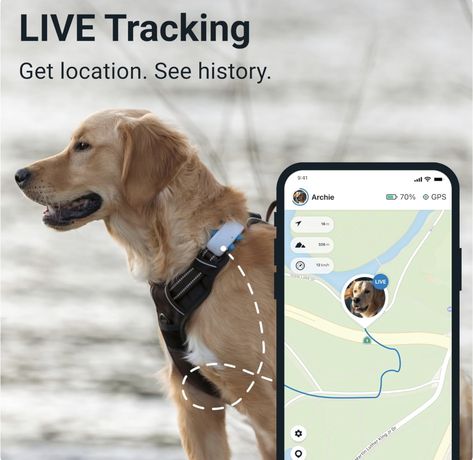 Tractive GPS Tracker for Dogs - Waterproof, GPS Location & Smart Pet Activity Tracker, Unlimited Range, Works with Any Collar (White) : Amazon.ca: Pet Supplies #pet #dogs #doglovers #petsupplies Dog Tracker, Pet Tracker, Dog Wellness, Gps Tracking Devices, Up Dog, Pet Life, Activity Tracker, Gps Tracker, Dog Supplies