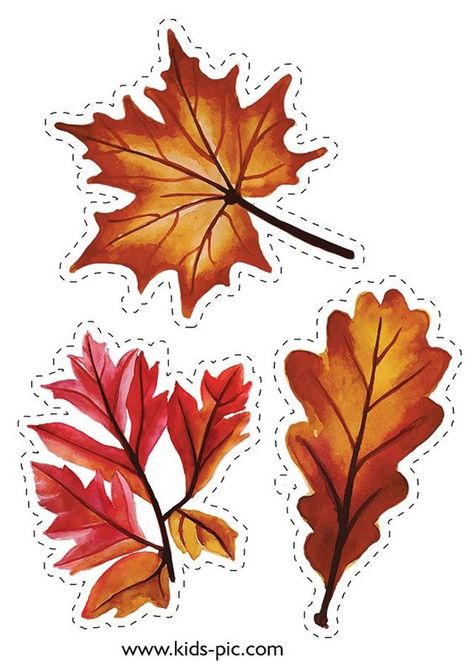 Free Printable Fall Leaves Templates | Kids-Pic.com Autumn Leaf Illustration, Printable Fall Leaves, Leaves Template Free Printable, Leaf Printables, Fall Leaf Template, Printable Leaves, Leaves Printable, Leaf Template, Scrapbook Stickers Printable