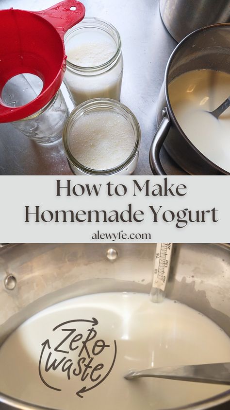 With our simple, low-tech method, you can make yogurt at home without any specialized gadgets to take up space on your shelf. It's so easy & practically foolproof! You don't need to be a #cottagecore baddie to do it, promise.  You'll save $$ on this nutritious, probiotic food if you learn to make your own. Plus, it's good for the planet & your health... no more little plastic containers (we all know most of those don't actually get recycled). Win/win!  #zerowaste #fermentation #yogurt #homestead Make Yogurt, How To Make Yogurt At Home, Homemade Yogurt Recipes, Make Your Own Yogurt, Make Greek Yogurt, Yogurt Maker, Probiotic Foods, Gourmet Cooking, Homemade Yogurt