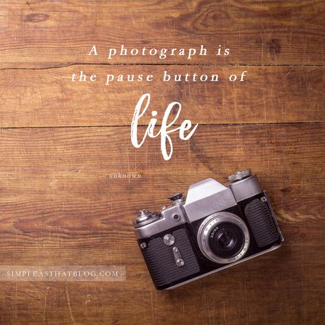 12 Quotes to Inspire your Photography Journey // A photograph is the pause button of life. - unknown Quotes About Pictures, Photography Inspiration Quotes, Words Photography, Camera Quotes, Photographer Quotes, Patience Quotes, Pause Button, The Pause, Photography Quotes