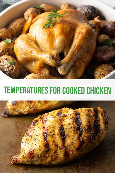 What Temp Should Chicken Be Cooked To, Chicken Temperature When Done, Chicken 101, Cooked Chicken Temperature, Chicken Temperature, Perfect Chicken Breast, Chicken Thighs Recipes, Whole Chicken Recipes, A Spicy Perspective